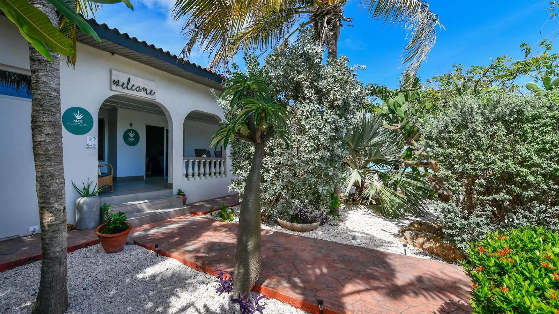 Aloe B&B Oranjestad Bed & Breakfast