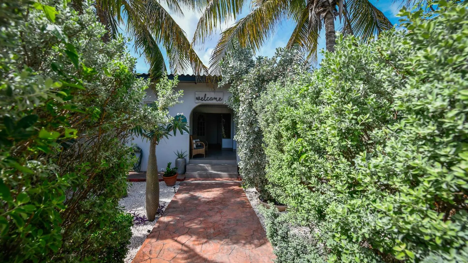 Bed & Breakfast Aloe B&B Oranjestad