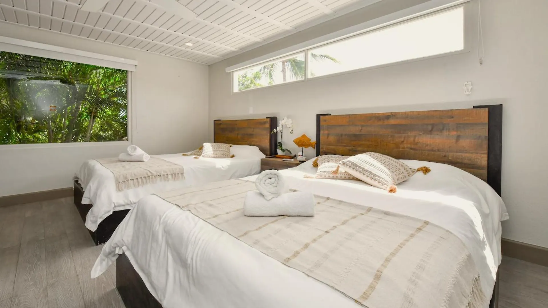 Aloe B&B Oranjestad 0*,