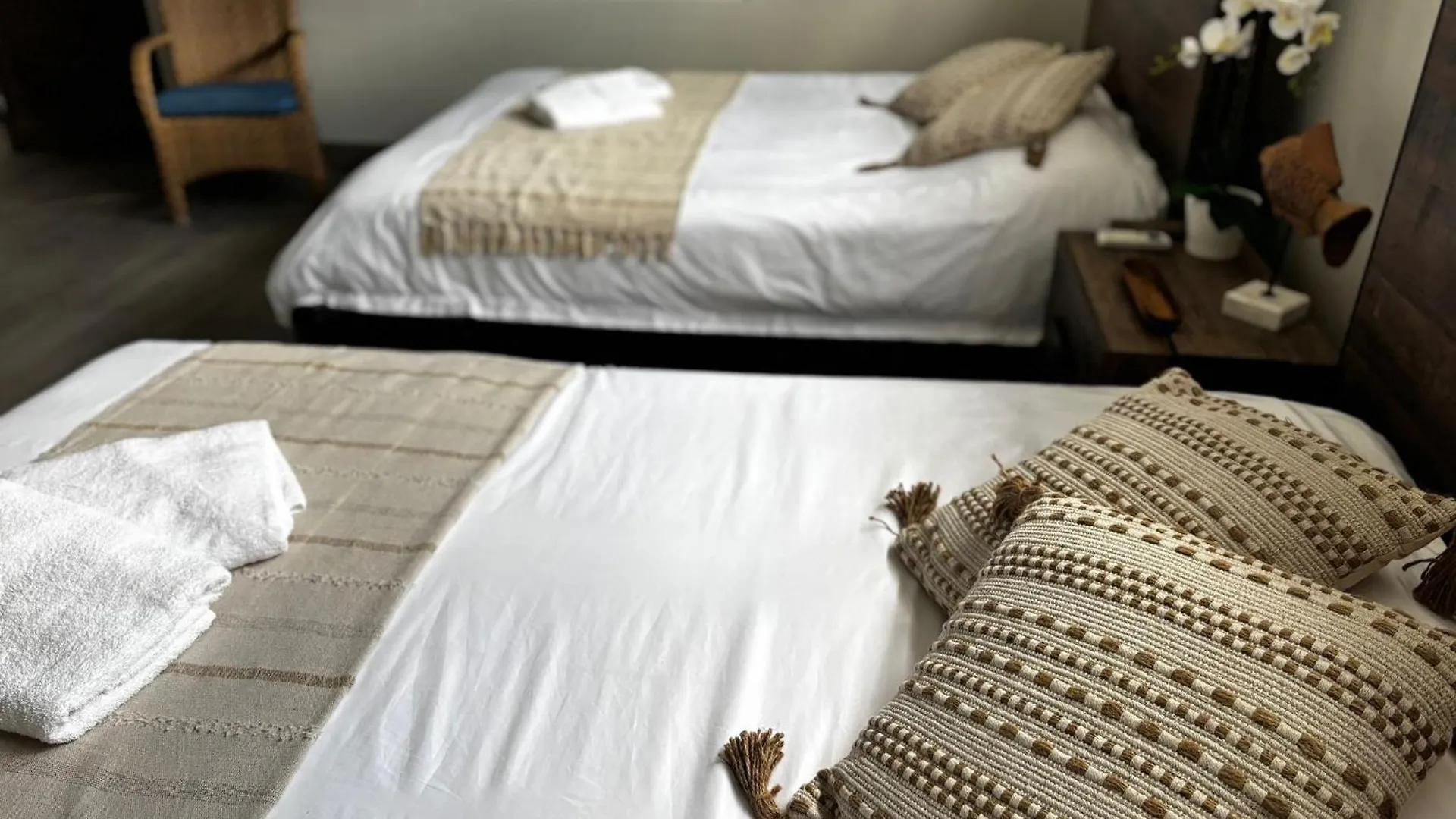 Bed & Breakfast Aloe B&B Oranjestad Aruba