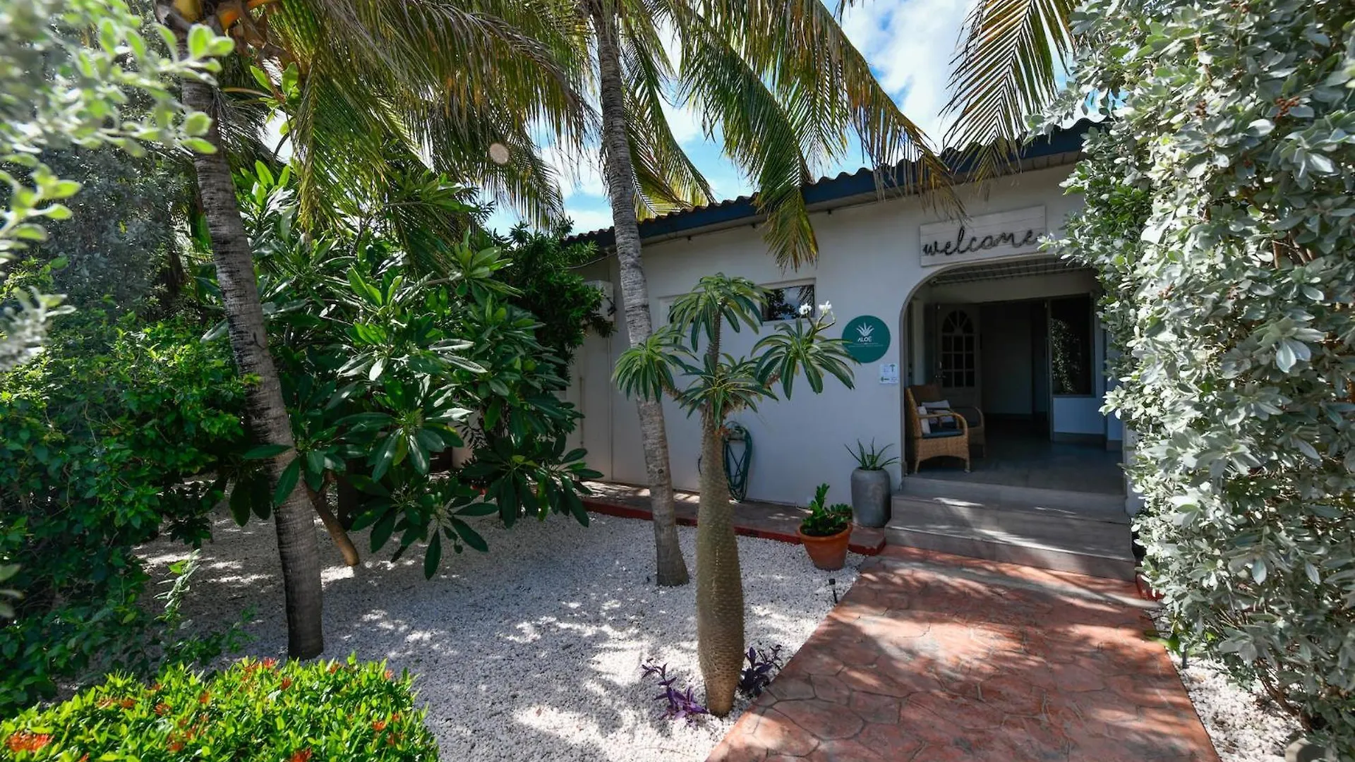 Aloe B&B Oranjestad 0*,  Aruba