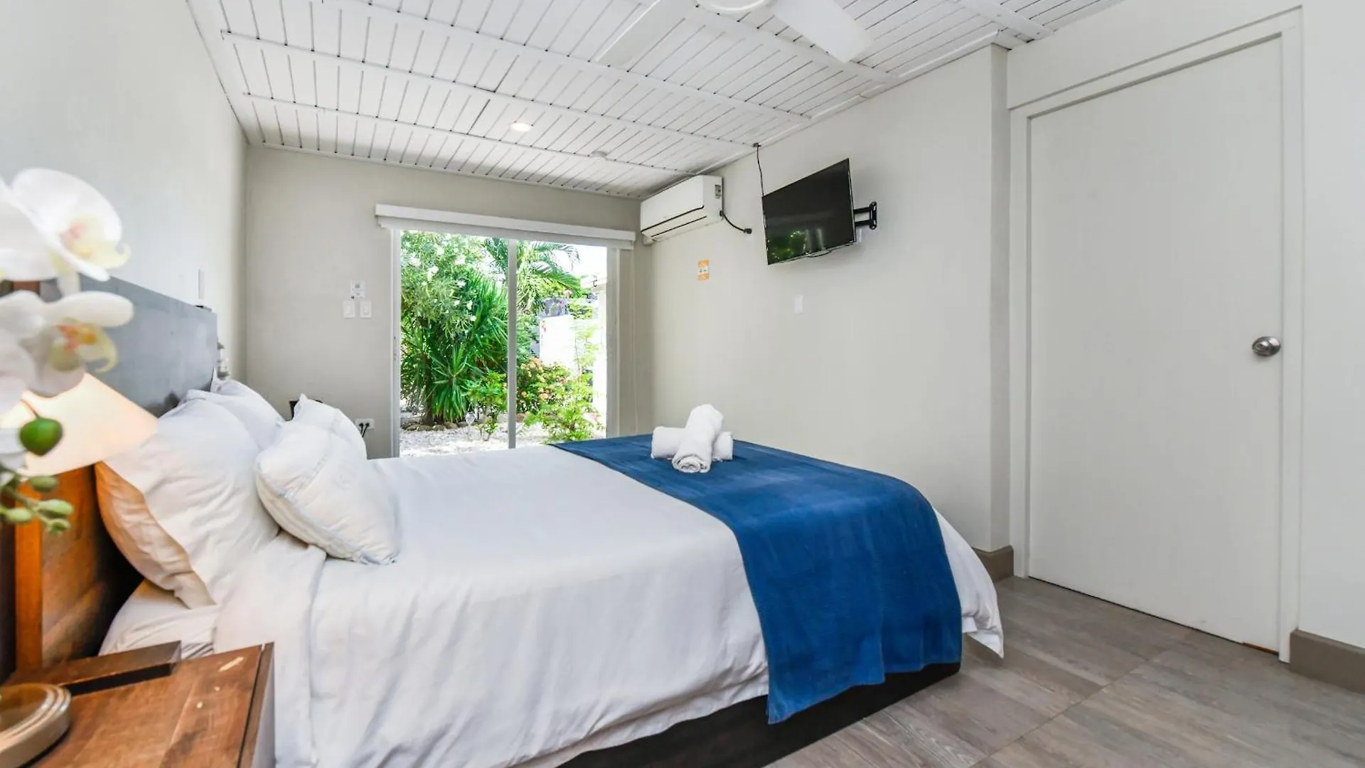 Aloe B&B Oranjestad 0*,