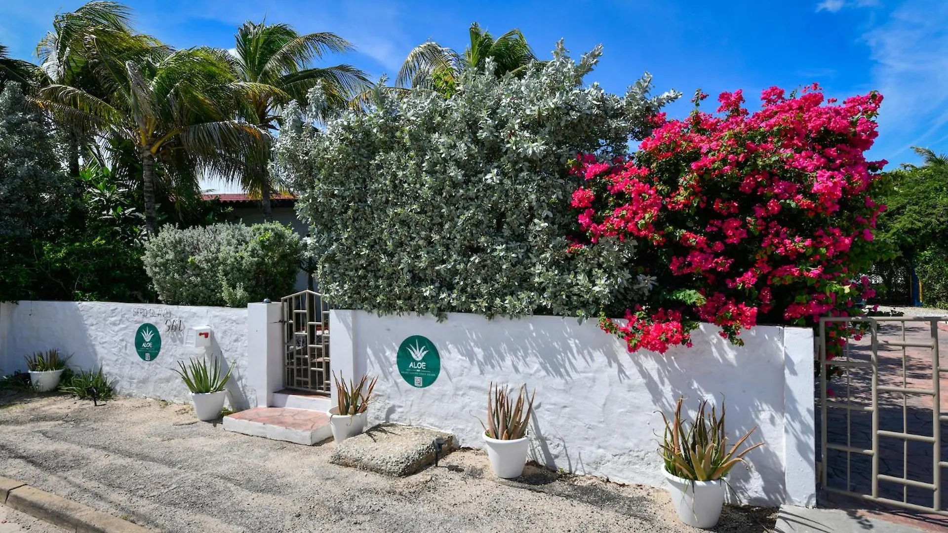 Aloe B&B Oranjestad